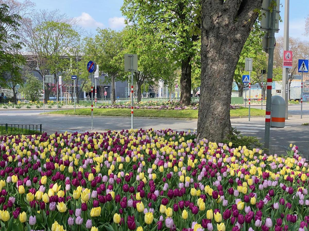 Apartament Magic Vienna Right Next To The Prater! Zewnętrze zdjęcie
